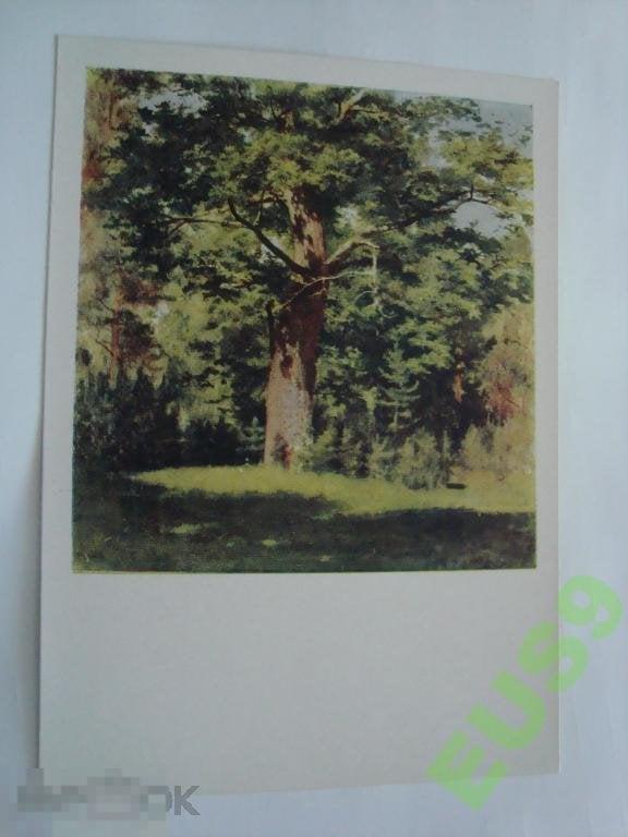 И. ЛЕВИТАН ДУБ 1963 (10) 