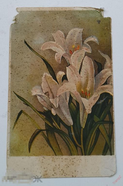 Открытка цветы лилии Октообер #18* 