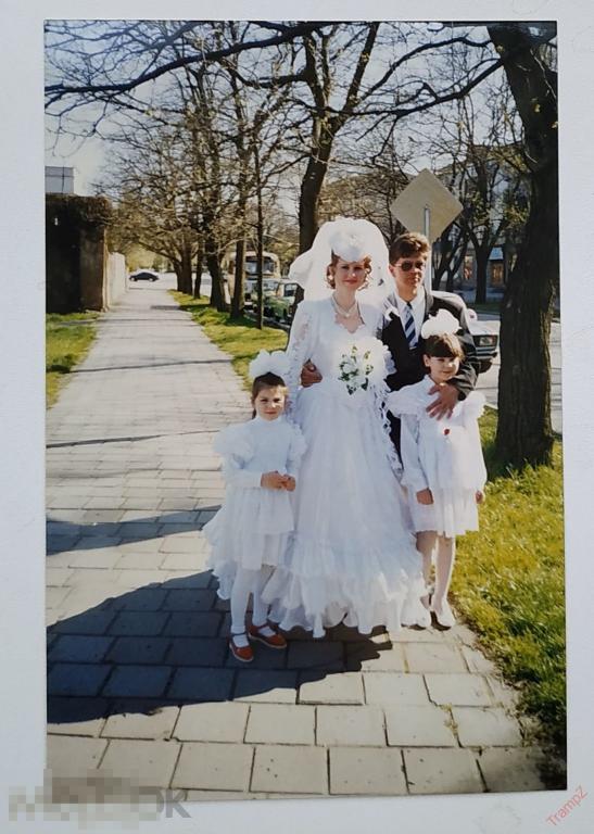 Фотография цветная свадьба, жених невеста, свадебное платье фата, дети девочки #91 