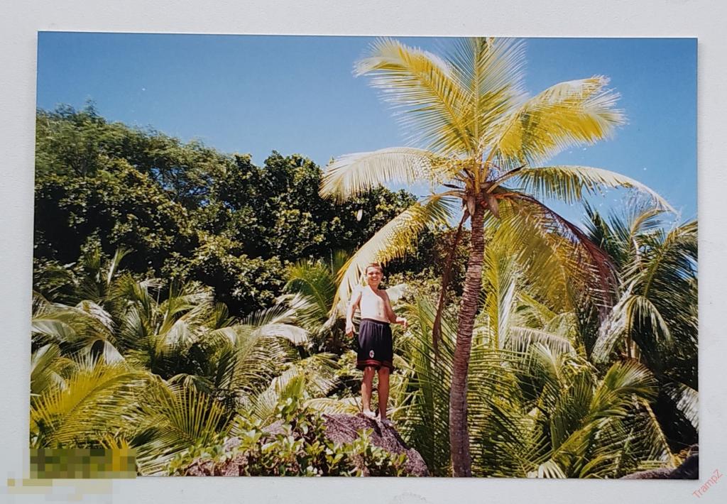 Фотография цветная парень в шортах, голый торс, пальмы тропики #89 