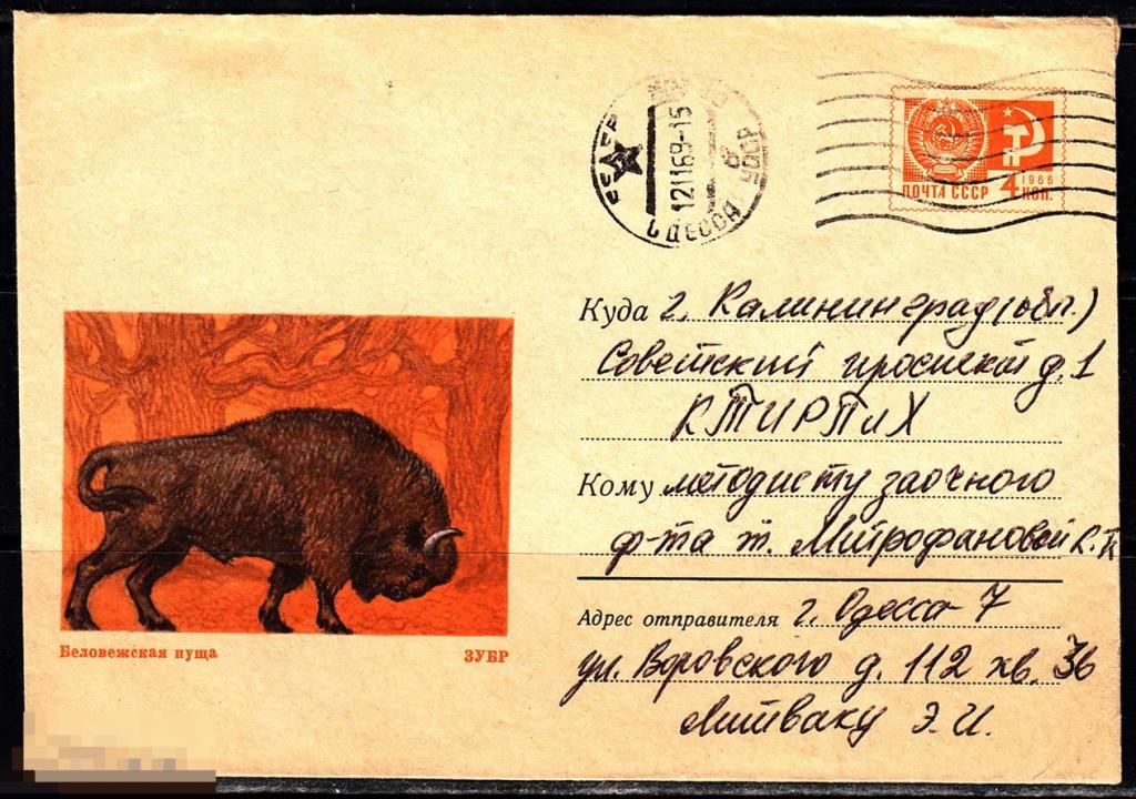 СССР ХМК 1969 Беловежская пуща Фауна Зубр № 69 - 217 № 6240 КАЛИНИНГРАД ОДЕССА 