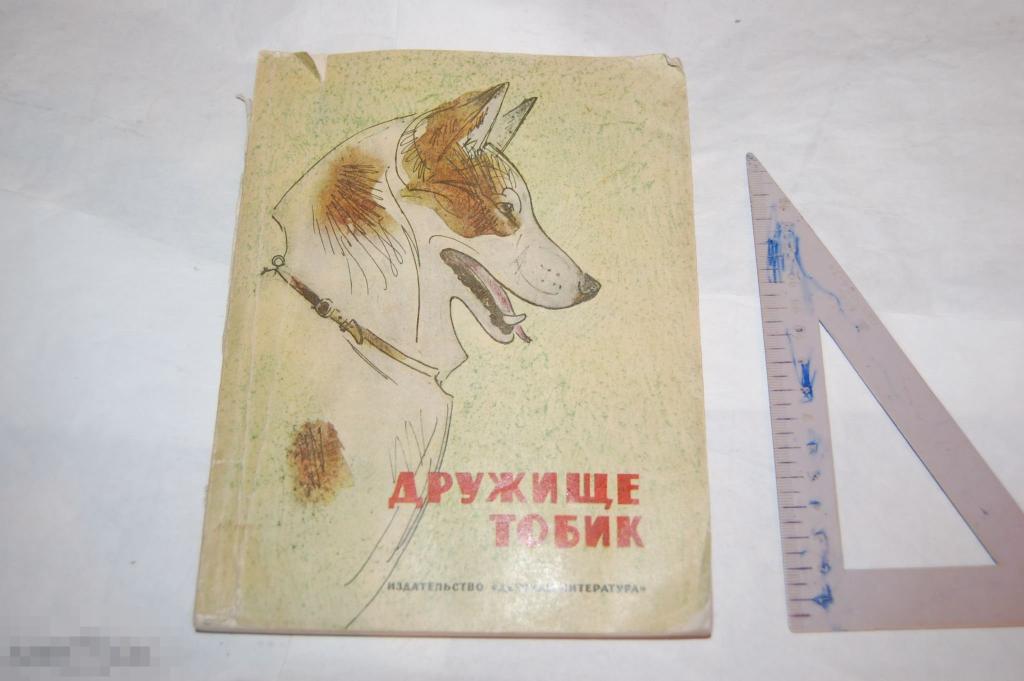 Дружище тобик рассказы о собаках. Дружище тобик книга содержание. Дружище тобик книга. Тобик собака. Паустовский дружище тобик.