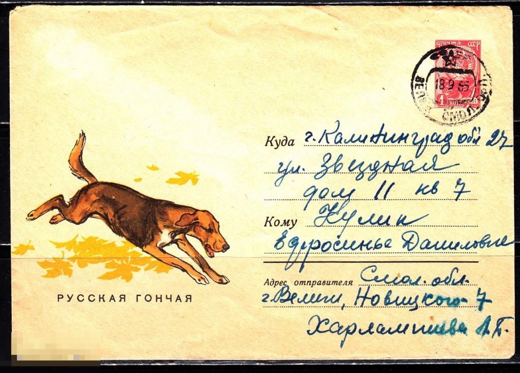 СССР ХМК 1965 Русская гончая Фауна Охотничьи собаки Охота № 65 - 135 № 3661 ВЕЛИЖ 