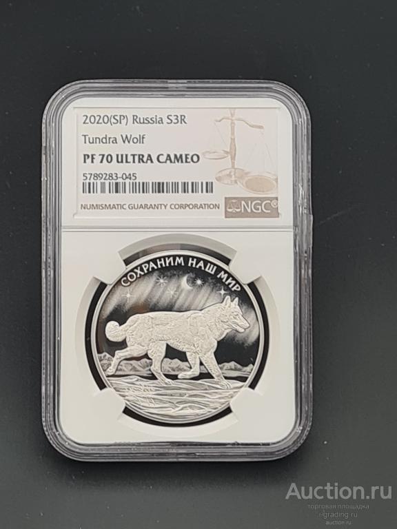 полярный 2020