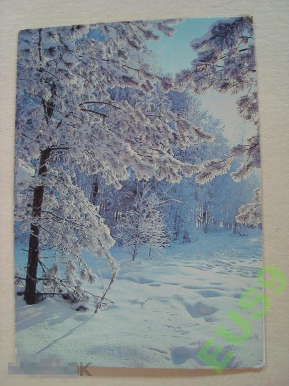 Н. Дейкина С Новым Годом чистая 1984 год (2) 