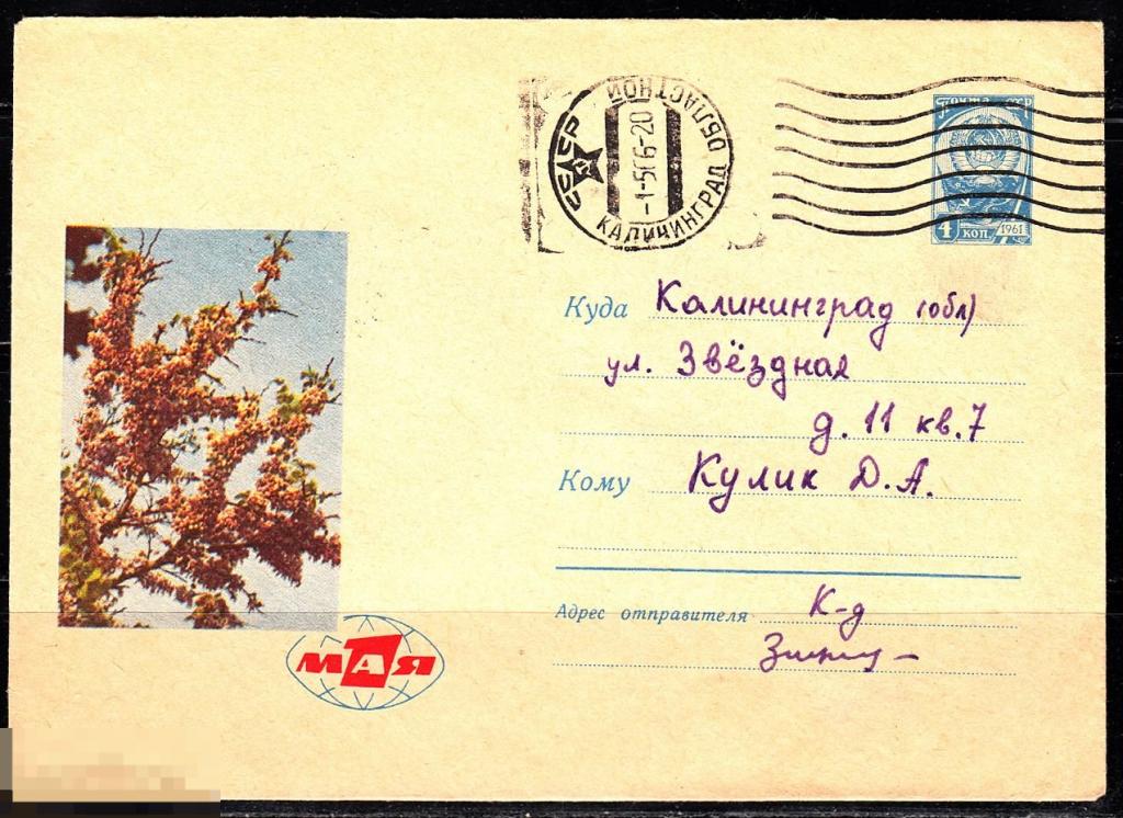 СССР ХМК 1966 1 Мая Праздники Флора Цветы № 66 - 82 № 4149 КАЛИНИНГРАД 