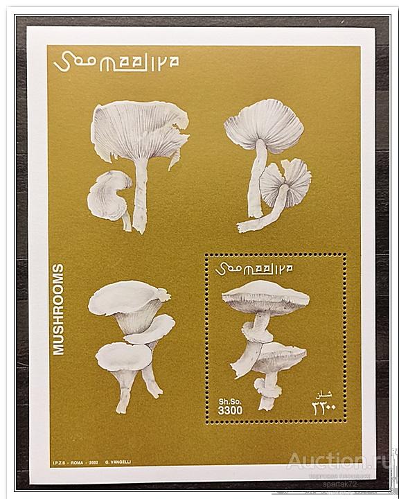 Сомали 2002 год Блок 94 " Грибы " MNH**