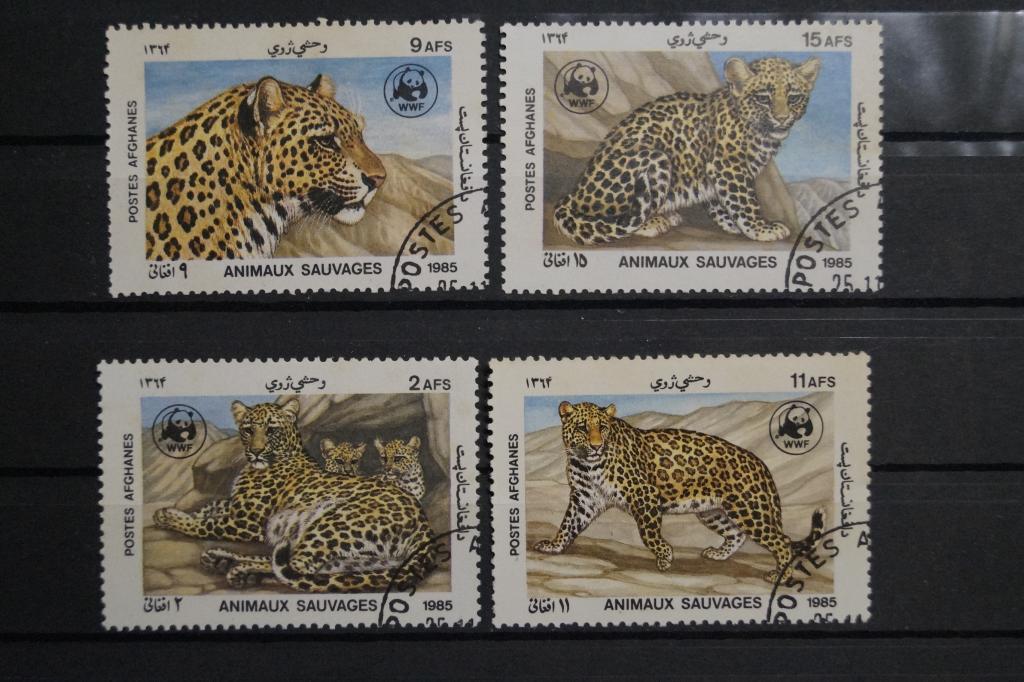 Афганистан 1985г. Дикие Кошки 4 марки