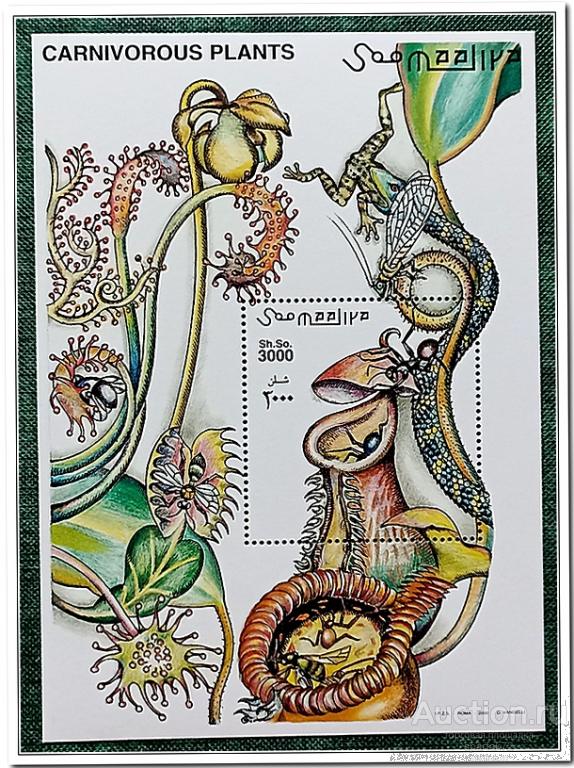Сомали 2000 год Блок 73 " Хищные растения " MNH**