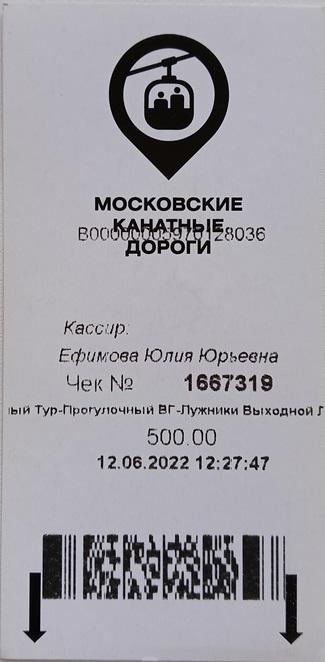 Билет Канатная дорога Подъемник Москва