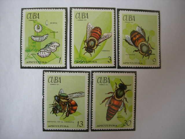 Куба 1971 фауна: пчелы  MNH