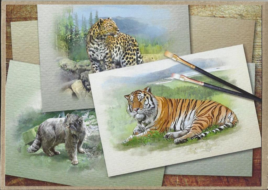 2015. М.Бодрова. Фауна. Тигр. Леопард. Формат стандарт. Чистая. (1123)