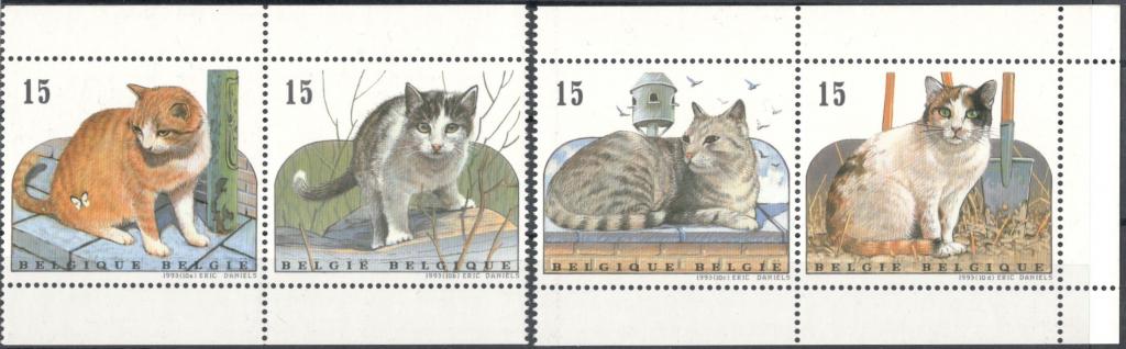 Бельгия, 1993, № 2573-2576, € 4, MNH, полн., Европейские домашние кошки