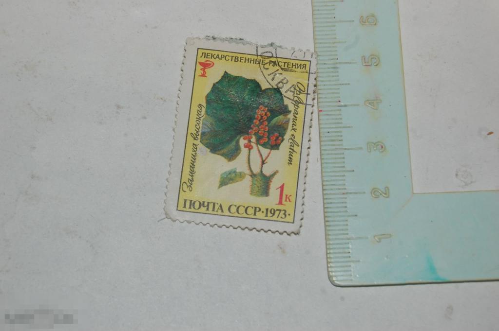 Марка лекарственные растения СССР 1973г. 