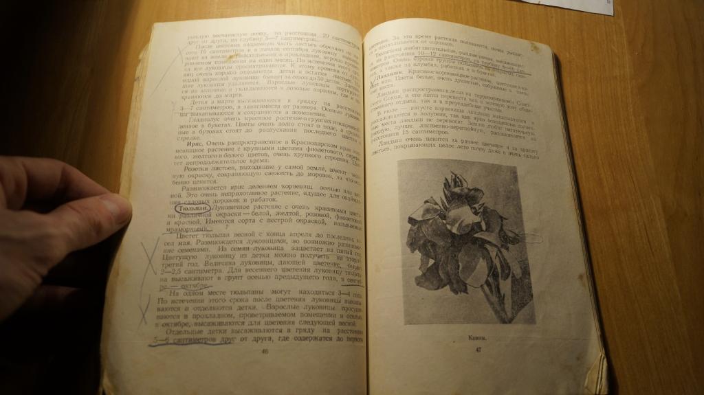 №2064,2 Святненко Цветоводство Краснодарское изд-во 1954 цветы
