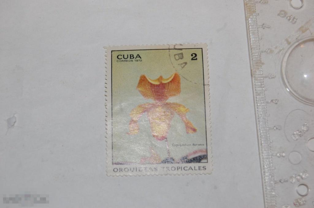 Марка Cuba coreos 1972 г. Орхидея 