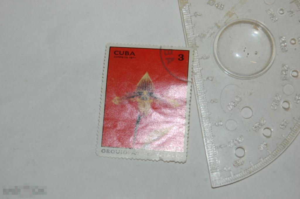 Марка Cuba coreos 1971 г. Орхидея 