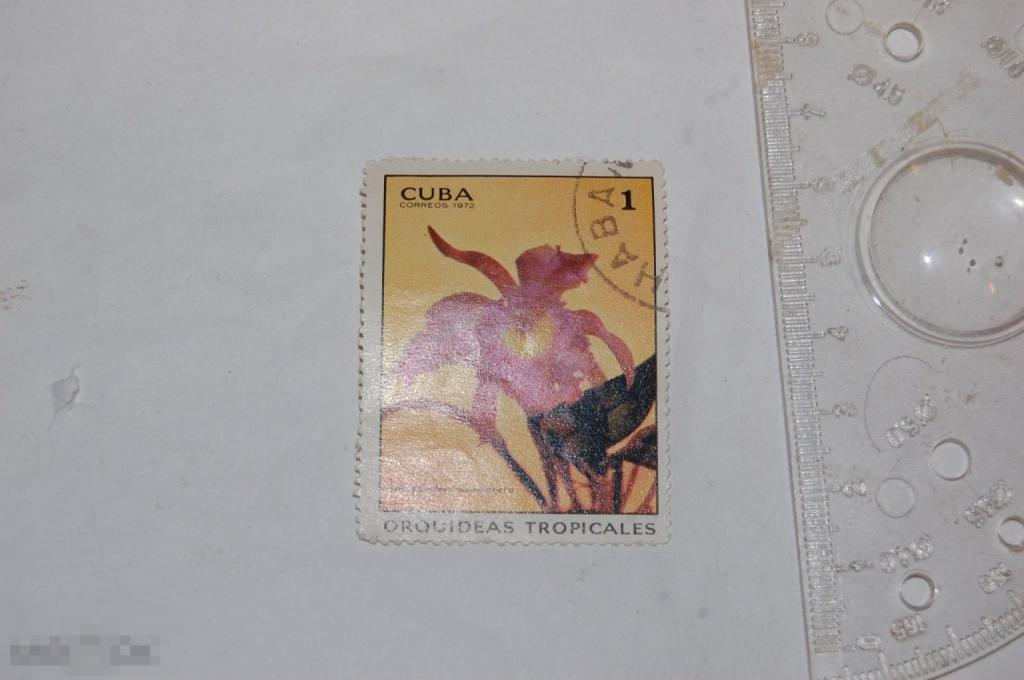 Марка Cuba coreos 1972 г. Орхидея Флора 