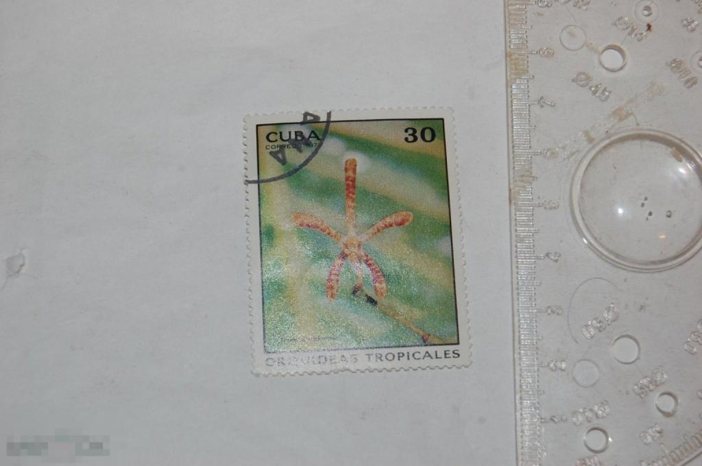 Марка Cuba coreos 1978 г. Орхидея 