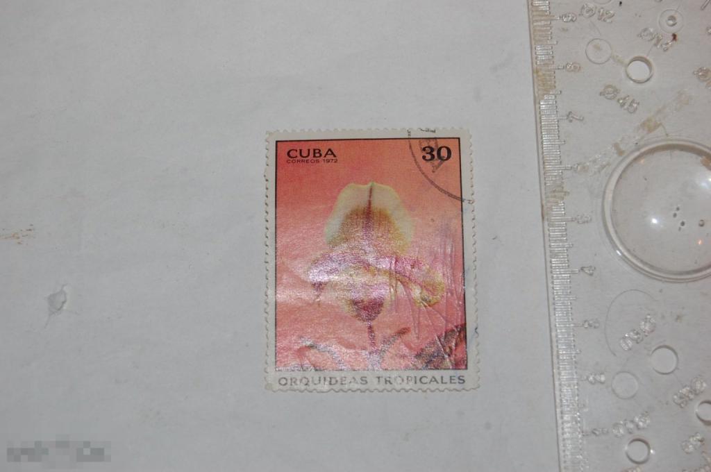 Марка Cuba coreos 1972 г. Орхидея 