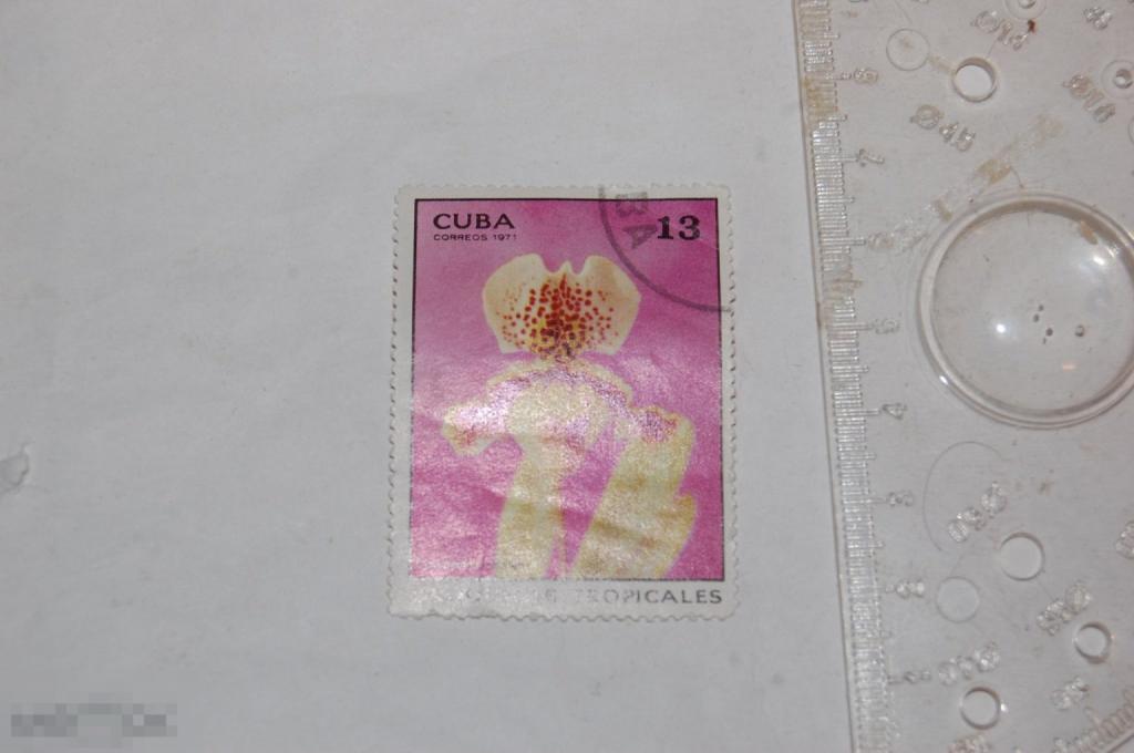Марка Cuba coreos 1971 г. Орхидея 