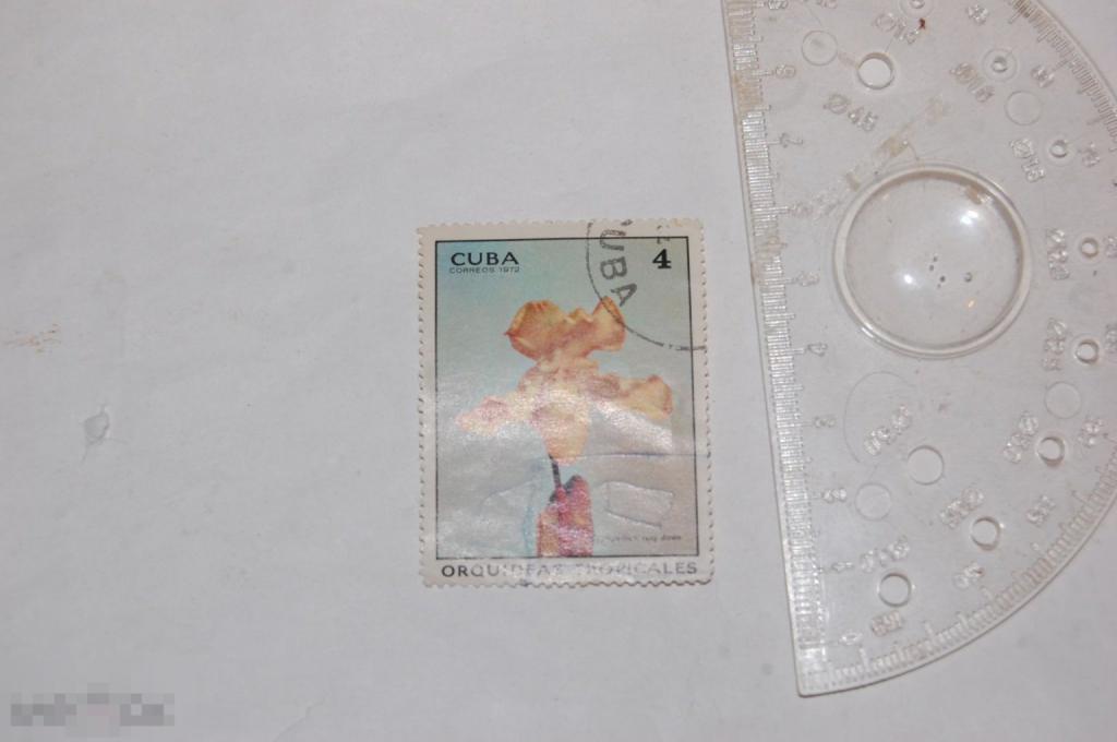 Марка Cuba coreos 1972 г. Орхидея 