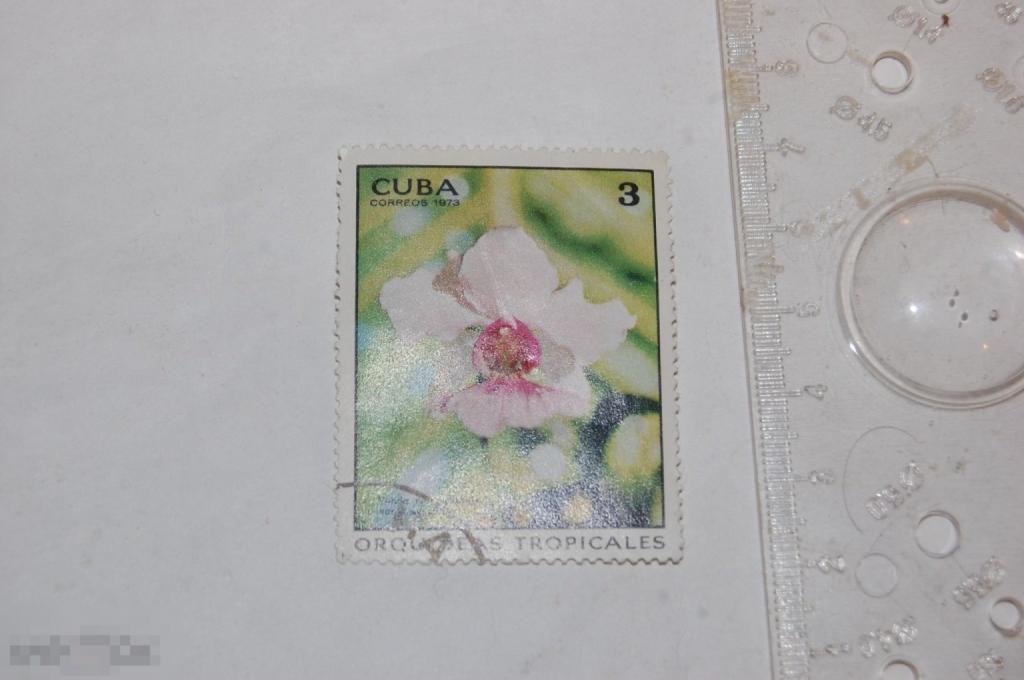 Марка Cuba coreos 1973 г. Флора 