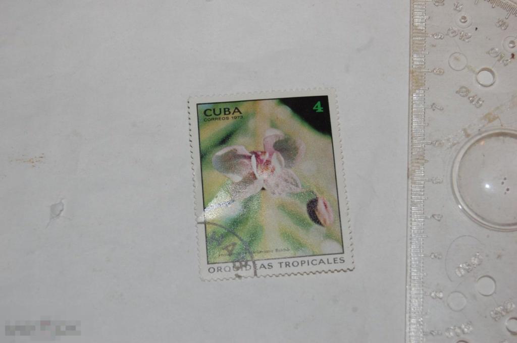 Марка Cuba coreos 1973г. Флора Орхидея 