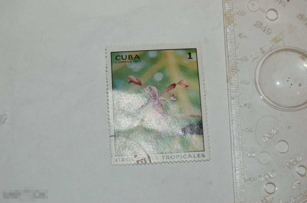 Марка Cuba coreos 1973 г. Флора Орхидея 