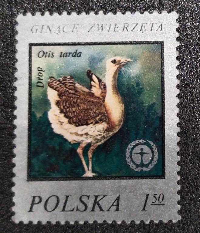 Почтовая марка Польша  Фауна Птицы 