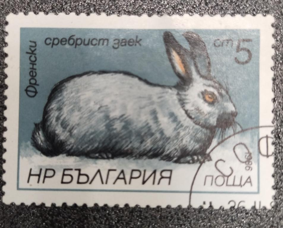 Почтовая марка Болгария Фауна Кролик 