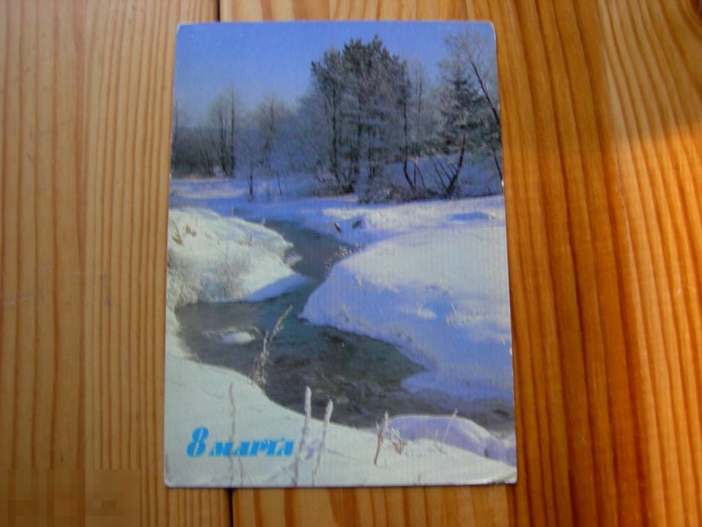 ОТКРЫТКА СССР С ПРАЗДНИКОМ 8 МАРТА ФОТО ПАНОВА 1986 ГОД В КОЛЛЕКЦИЮ 