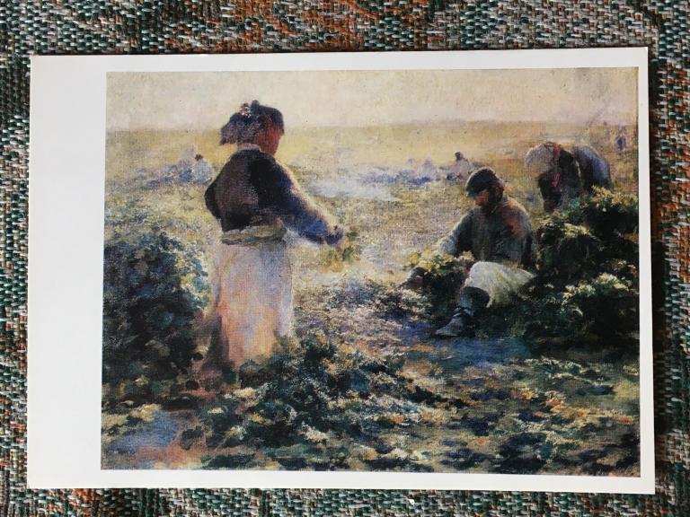 Леон Вычулковский. Уборка свеклы. 1981 г.
