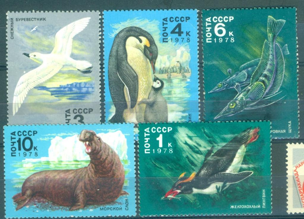 СССР  1978 г. серия Животный мир Антарктики  негашеная**