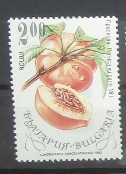 Марка чистая. Болгария 1993. Фрукты. Флора, растения.
