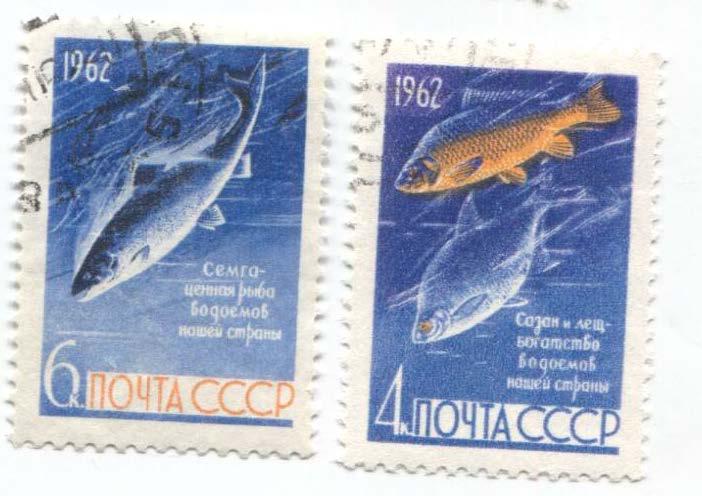 1962 ссср рыбы 2м гаш