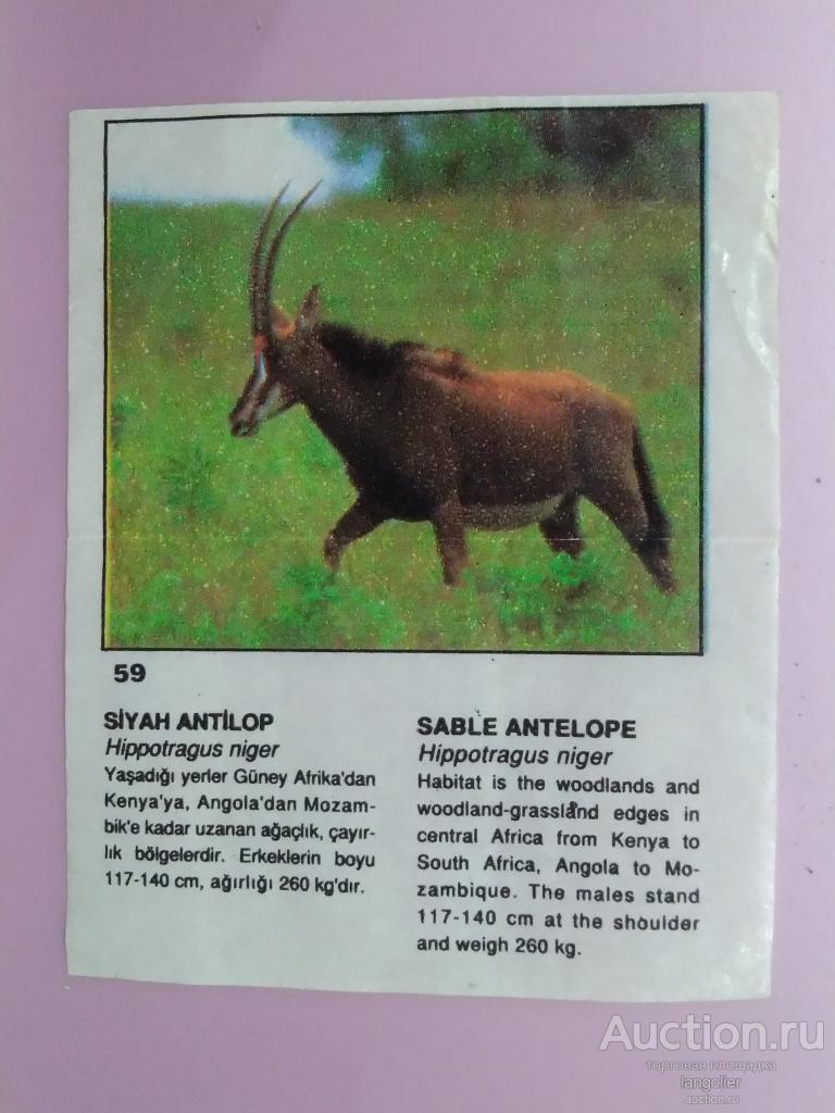 Вкладыш от жевательной резинки Cin Cin (Звери / Животные) Dandy #059