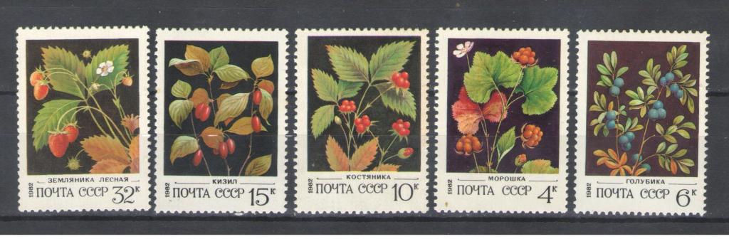 СССР 1982г. Ягоды, п/с. MNH.