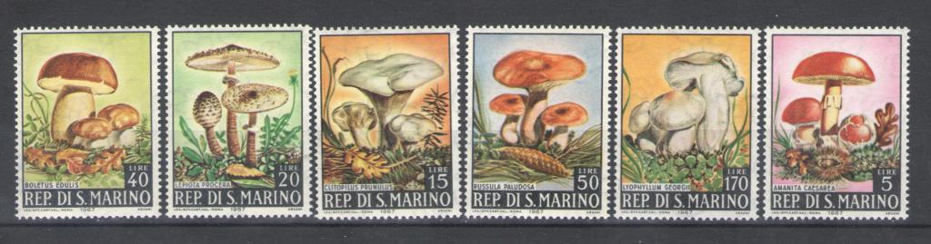 Сан Марино 1967г.  Грибы, п/с. MNH.
