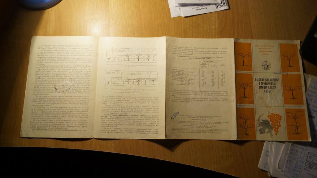 №5710,20 высокоштамбовые формировки виноградной лозы