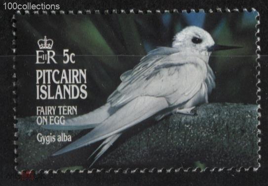pn1995_444 Питкерн. Белая крачка (Gygis alba). **