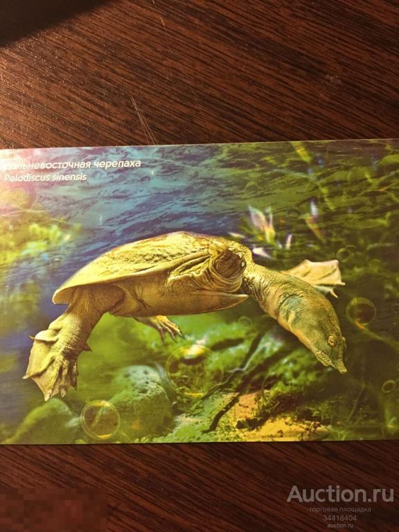 Россия 2017-125/4  НПК Дальневосточная черепаха 