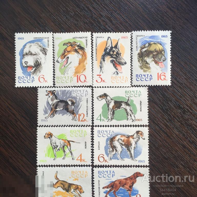 СССР 1965  фауна  Служебные и охотничьи собаки 3073-3082 