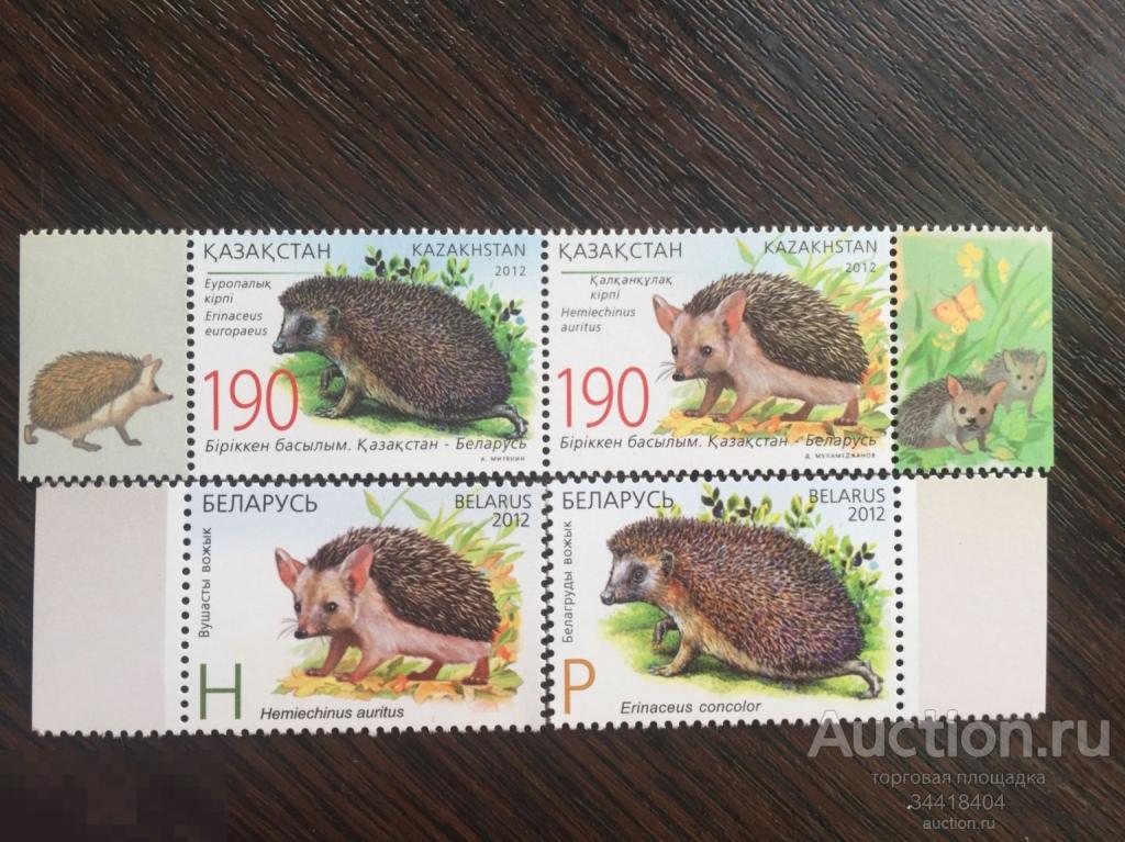 Казахстан 2012 СВ Беларусь фауна ежи 