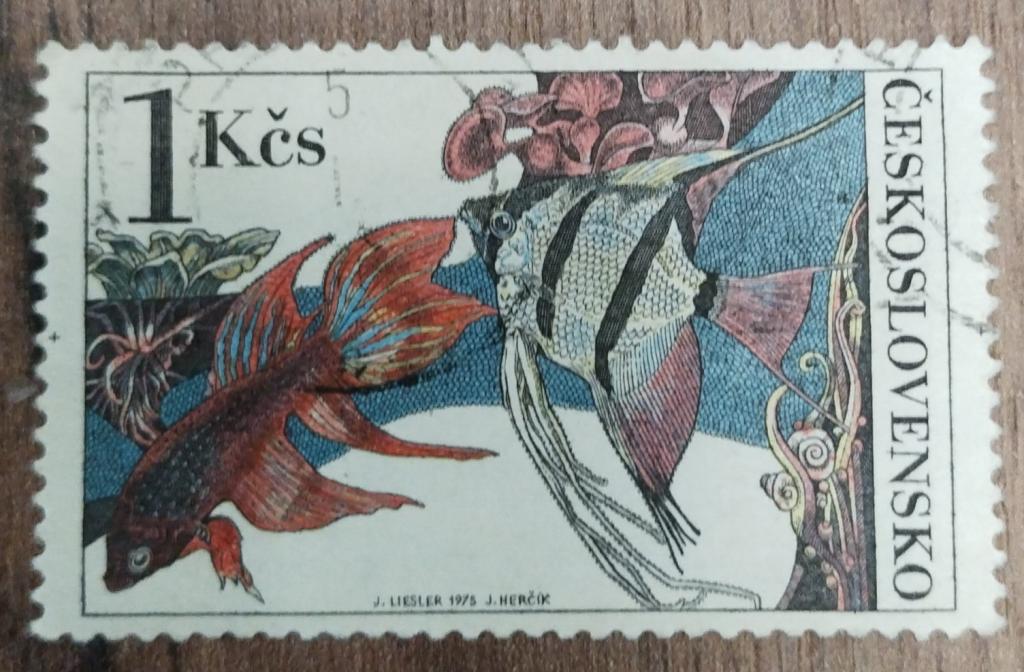 Почтовая марка Чехословакия 1975 Фауна Рыбы