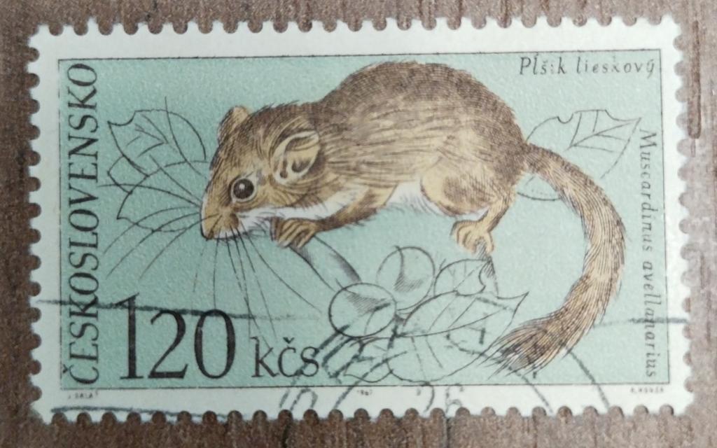 Почтовая марка Чехословакия 1967 Фауна Национальный парк Татры