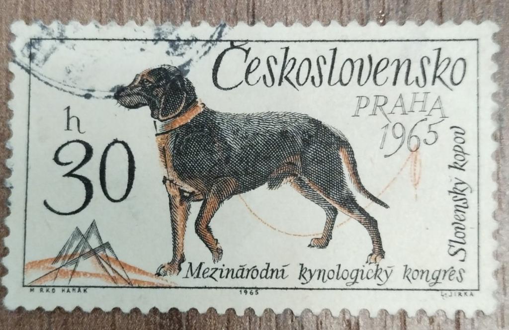 Почтовая марка Чехословакия 1965 Фауна Собаки 