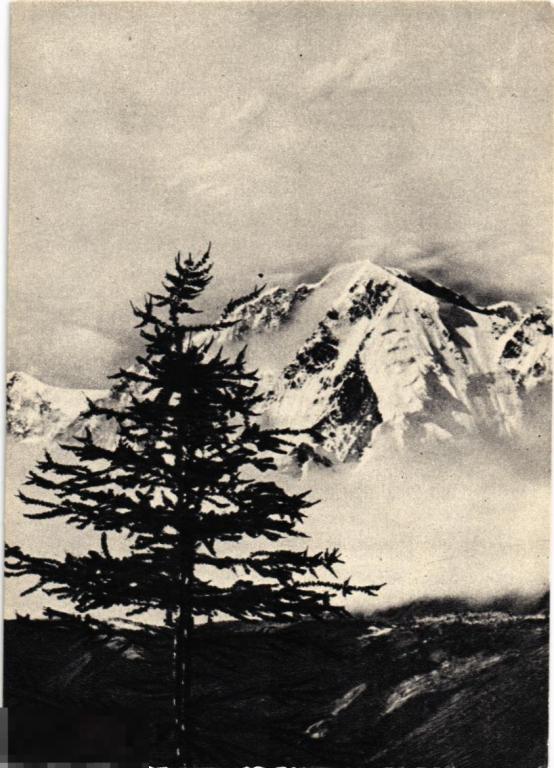 (WG) Горный Алтай Пик 20-летия Октября Шведов 1956 (2020-81) чистая