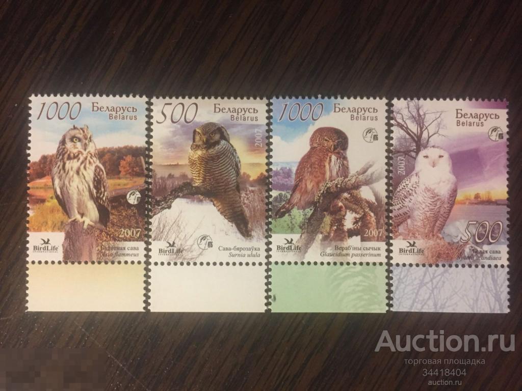 Беларусь 2007 фауна птицы совы 
