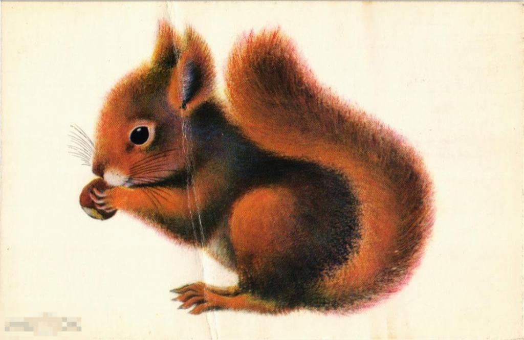 (WG) Стихи Белочка Исаков Лифшиц 1976 (2022-58)  чистая 